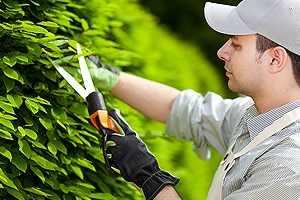 kertgondoz�s Zam�rdi