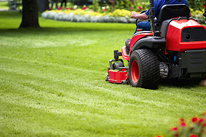 kertgondoz�s Zam�rdi