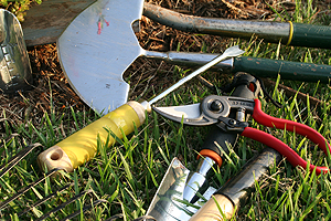 kertgondoz�s Zam�rdi